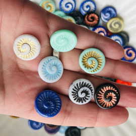 Fossil shell Mix 2 18mm, 4 stuks