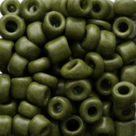 Rocailles 6/0 Olijf groen Stonelook finish, 10 gr.