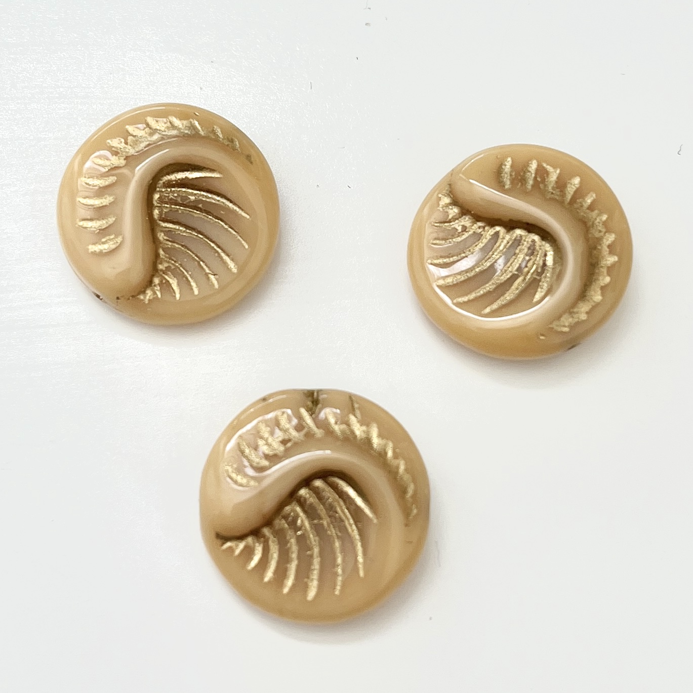 Fossil coin Caramel- Gold 19mm, 1 stuk