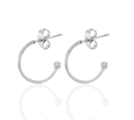 Stainless steel oorbellen creolen 12mm Zilver, per 2 stuks