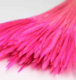 Dried Silk worms Grass Pink c.a. 80 stuks, 55 cm