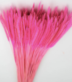 Dried Silk worms Grass Pink c.a. 80 stuks, 55 cm