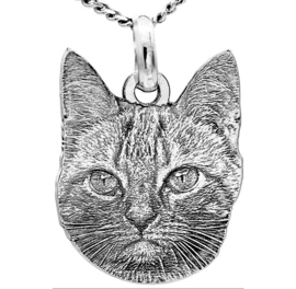 zilver portret