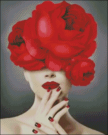 Diamond Painting Miss Coccinelle Flower  Lady  40x50