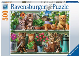 Ravensburger Cute Kittens legpuzzel 500 stukjes