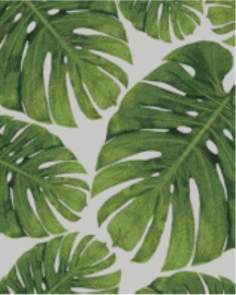 Diamond Painting Miss Coccinelle  Monstera Leaves