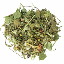 Back Zoo Nature Garden Discovery Mix 100 gram