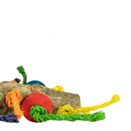Petlala Wooden Colour Perch Large