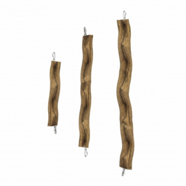 Back Zoo Nature Snake Perch Small