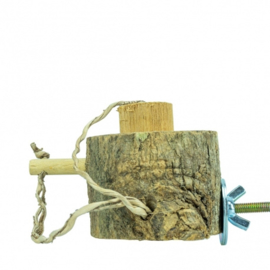 Back Zoo Nature Bird Braintrainer