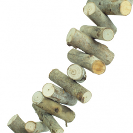 Back Zoo Nature Eucalypta Chain Medium