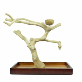 Back Zoo Nature Java Tree Playstand + Plateau Premium Medium