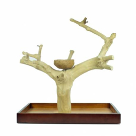 Back Zoo Nature Java Tree Playstand + Plateau Premium Medium