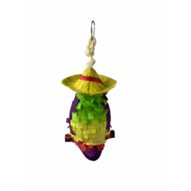Parrot Piñata