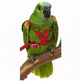 Aviator Large Vogeltuigje