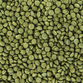 Wisbroek - Nut blend daily Large