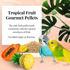 Lafeber Tropical Fruit Gourmet Pellets Parakeet 567 gram