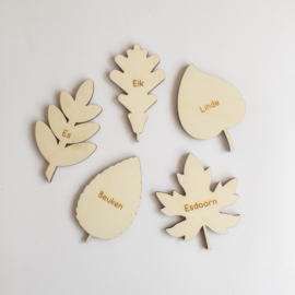Speeltray miniset -  Bladeren leren (set van 5)