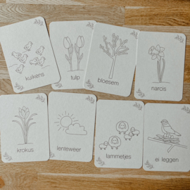 Flashcards - Lente -