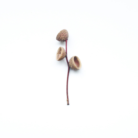 Herfst kaartenset 10x10 cm