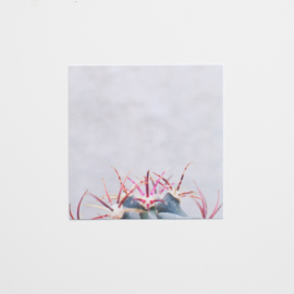 Botanische kaartenset | 10x10cm