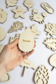 Speeltray miniset -  Bladeren leren (set van 5)