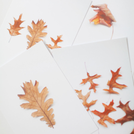 Kaartenset herfst - set 1