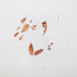 Kaartenset herfst set 2