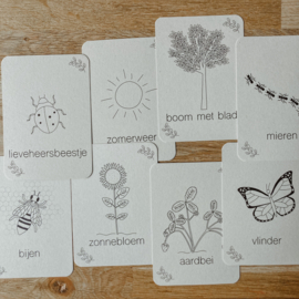 Flashcards - Zomer -