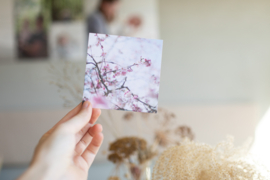 Kaartenset Lente | 10 x 10 cm
