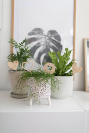 (Planten)steker - Pluk de dag!