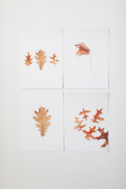 Kaartenset herfst - set 1