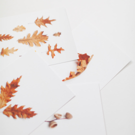 Kaartenset herfst set 2