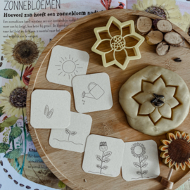 Flashcards - Mini lifecycle boerderij: kip – zonnebloem & bij -