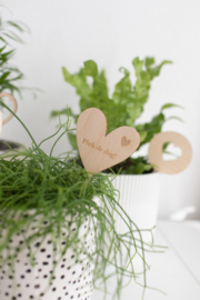 (Planten)steker - Pluk de dag!