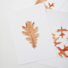 Kaartenset herfst - set 1