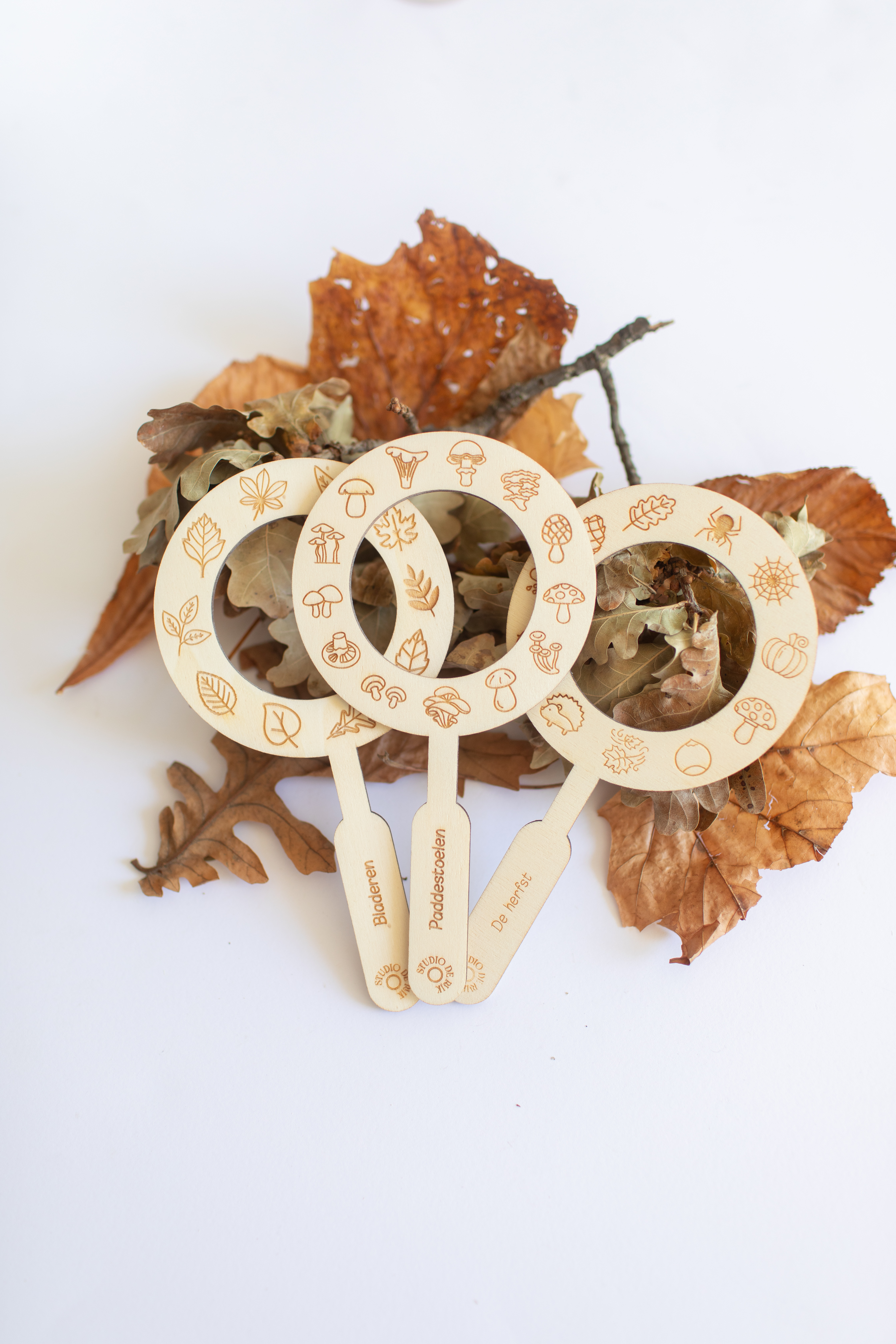 Vergrootglas - Paddestoelen