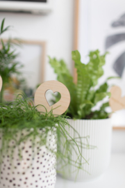 (Planten)steker - Hartje Rond