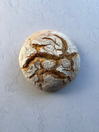 Landbrood wit (rond) 630gr