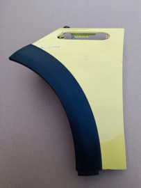 Spatbord / L.V (Mini Cooper S (R53)