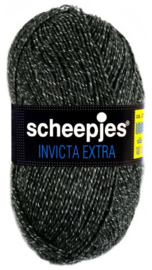 Scheepjes Invicta Extra | 1361