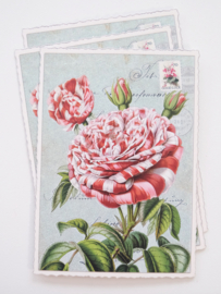 edition tausendschön | rode roos met witte streepjes