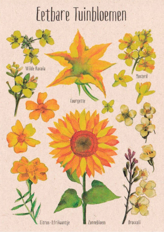 tanja hilgers | eetbare tuinbloemen geel