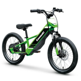 Kawasaki Elektrode 20 [ PROEFRIT mogelijk op afspraak ]