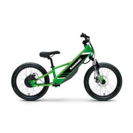 Kawasaki Elektrode 20 [ PROEFRIT mogelijk op afspraak ]