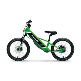 Kawasaki Elektrode 20 [ PROEFRIT mogelijk op afspraak ]