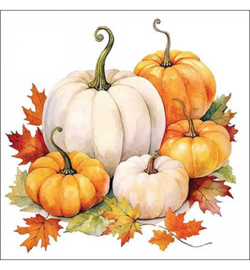 40 Herfstservetten