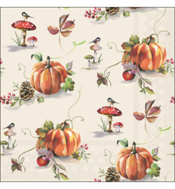Autumn splendour 3 stuks