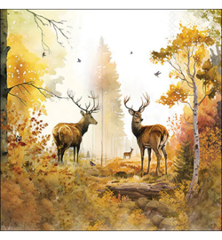 Autum forest 3 stuks
