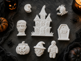 Halloween gips set incl.verf en kwastje